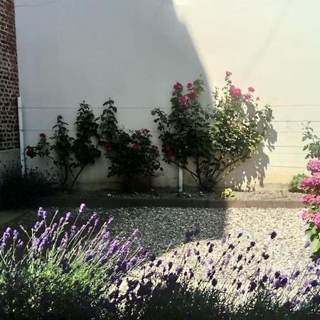 Appartement Calme A 300 M De La Plage-Centre Ville - Quiet Appartment 300 M Near City And Beach 메르레뱅 외부 사진